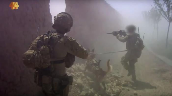 Australian SAS search operation in Uruzgan province, Afghanistan, in May 2012. Screenshot from ABC News, Four Corners, March 16, 2020.