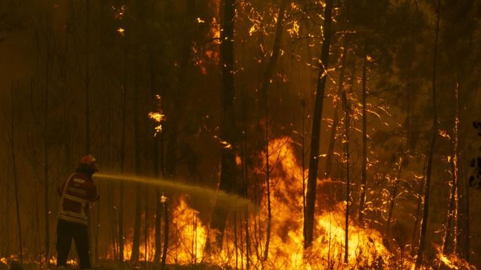 Portugal Wild Fires