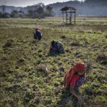 A group of girls at work in a field in Chitwan district, Nepal.