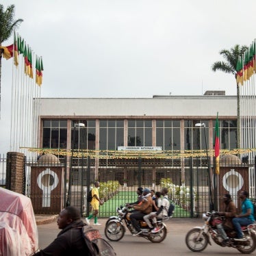 Cameroon's parliament in Yaoundé, November 17, 2017.