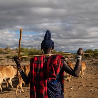 A man stands in front of a herd of cattle with his back to the camera