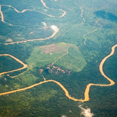 Land clearing for oil palm plantations area is seen from above in Borneo, Malaysia on September 11, 2019. 